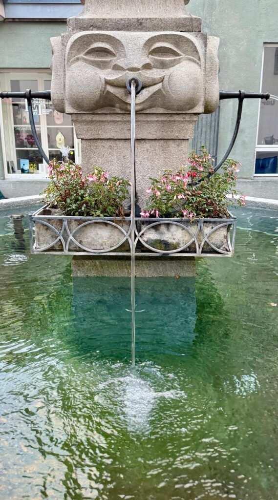Elixir of life: water