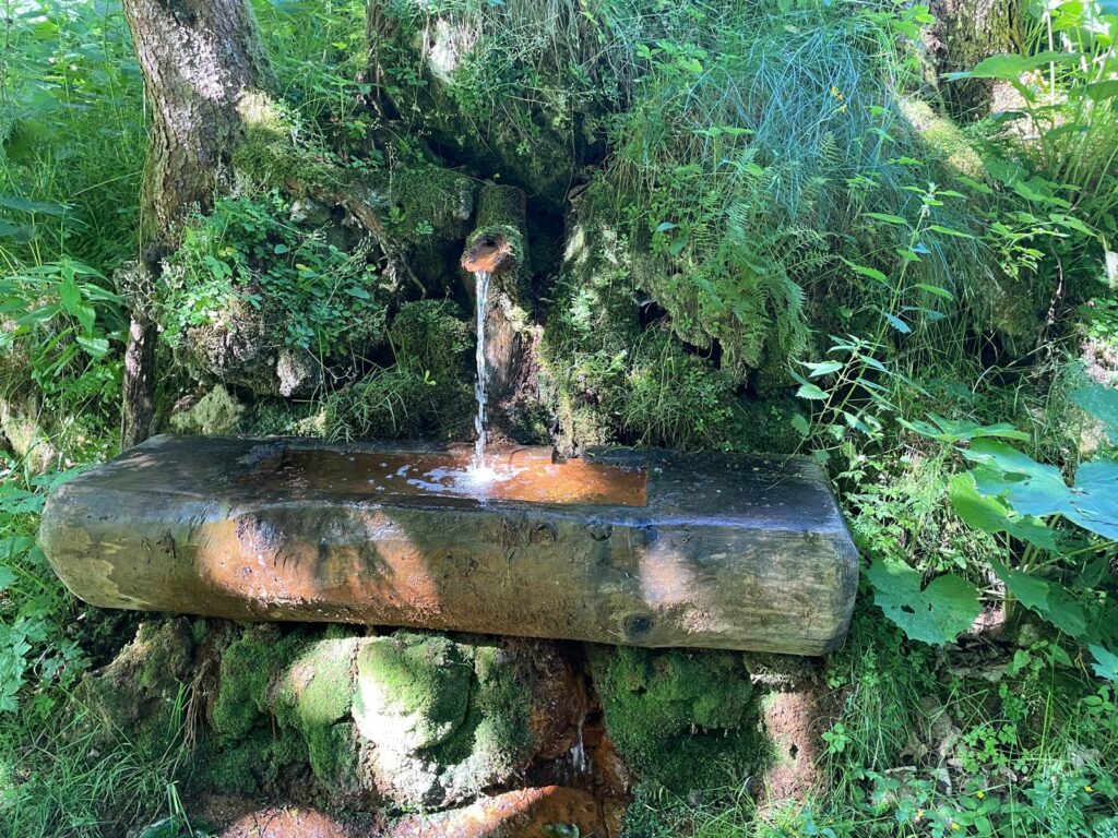 Source, place of origin