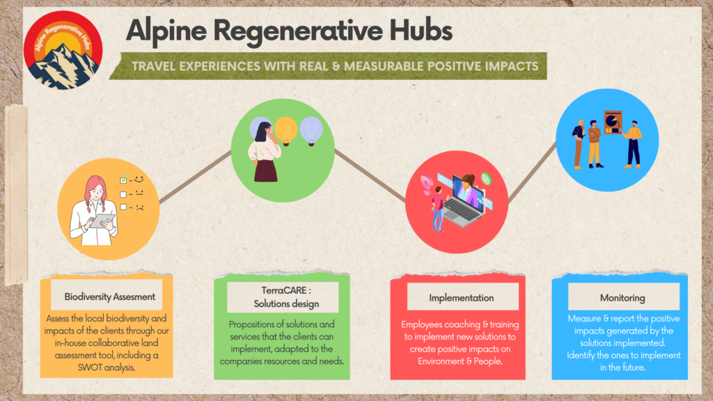 Our system change and collaborative process