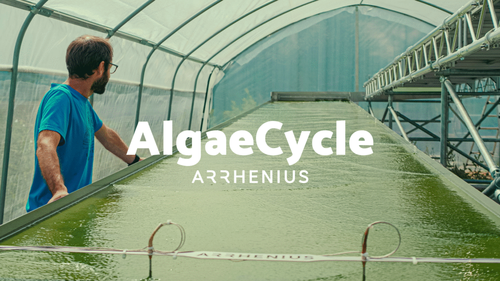 Arrhenius Photobioreactor to grow microalgae based on wastewater