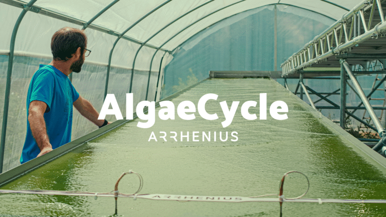 AlgaeCycle: Pure Water, Recycled Nutrients, Stored Carbon