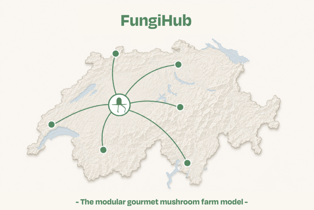 The Hub system throughout Switzerland