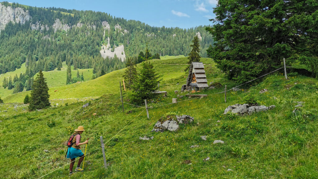 We are planning the first shelter at an existing fireplace in the Maria-Rickenbach hiking paradise.