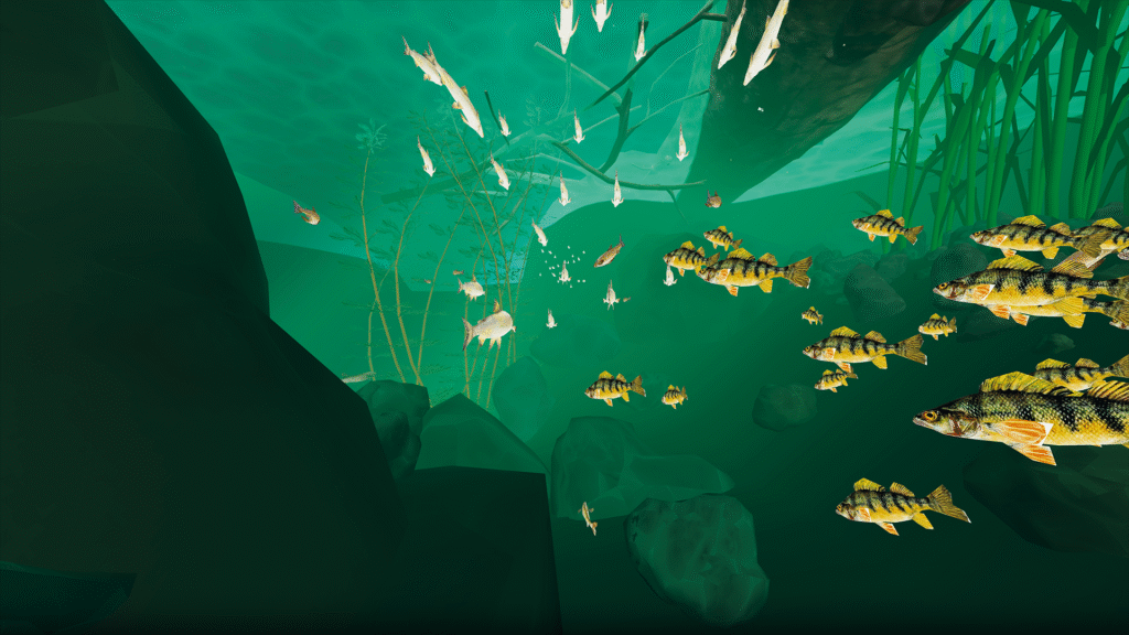 Like Water – Experience Perspective