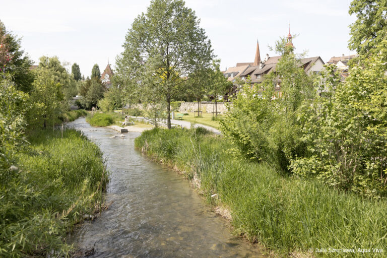 “Lebendiger Dorfbach” – Lively Village Streams: Let’s make small watercourses in urban areas fit for climate change