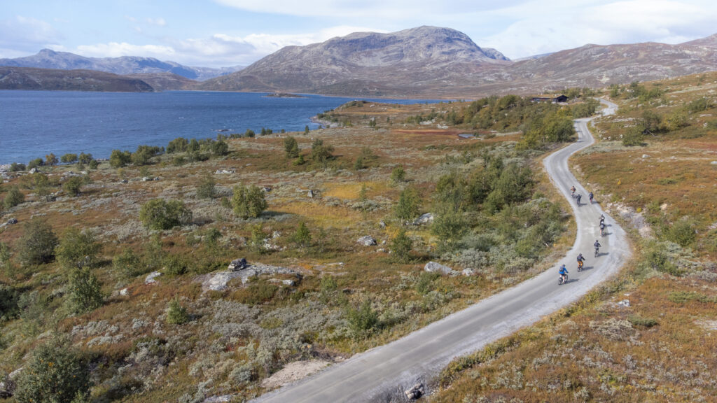 A guided group on a Systemic Cycles tour in the Norwegian Alps, exploring the Hemsedal Fjell and engaging with a local farmer for developing a new regenerative tourism activity of wild sheep herding. 