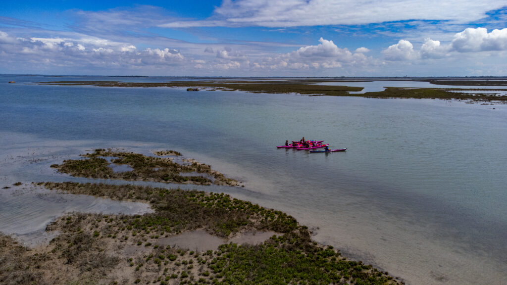 Exploring the Venice lagoon bioregion with kayaks as an alternative SC movement form, to connect with a wetland ecosystem and understand its role in bioregional regeneration between mountains, rivers, and the sea. Venice Lagoon, SC weaving guides training 2024, together with local kayak guides and ecologists.