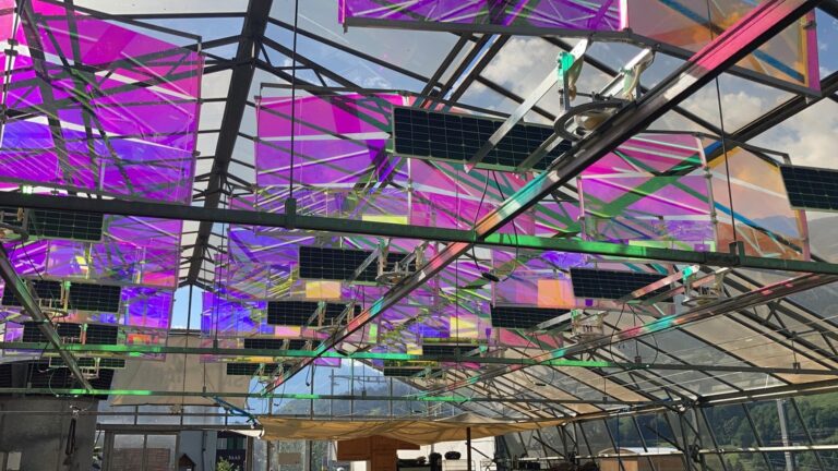 Voltiris – the first solar modules for greenhouse growers